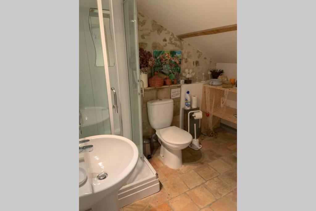 Mas 19E Entierement Climatise Avec Piscine A Usage Exclusif Roquemaure  Exteriér fotografie